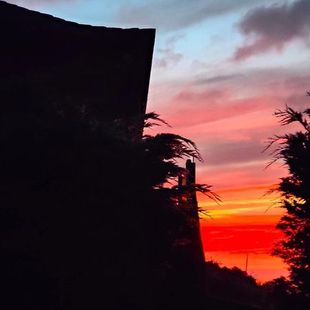Casa Rural Quinta Los Naranjos Tigalate Εξωτερικό φωτογραφία