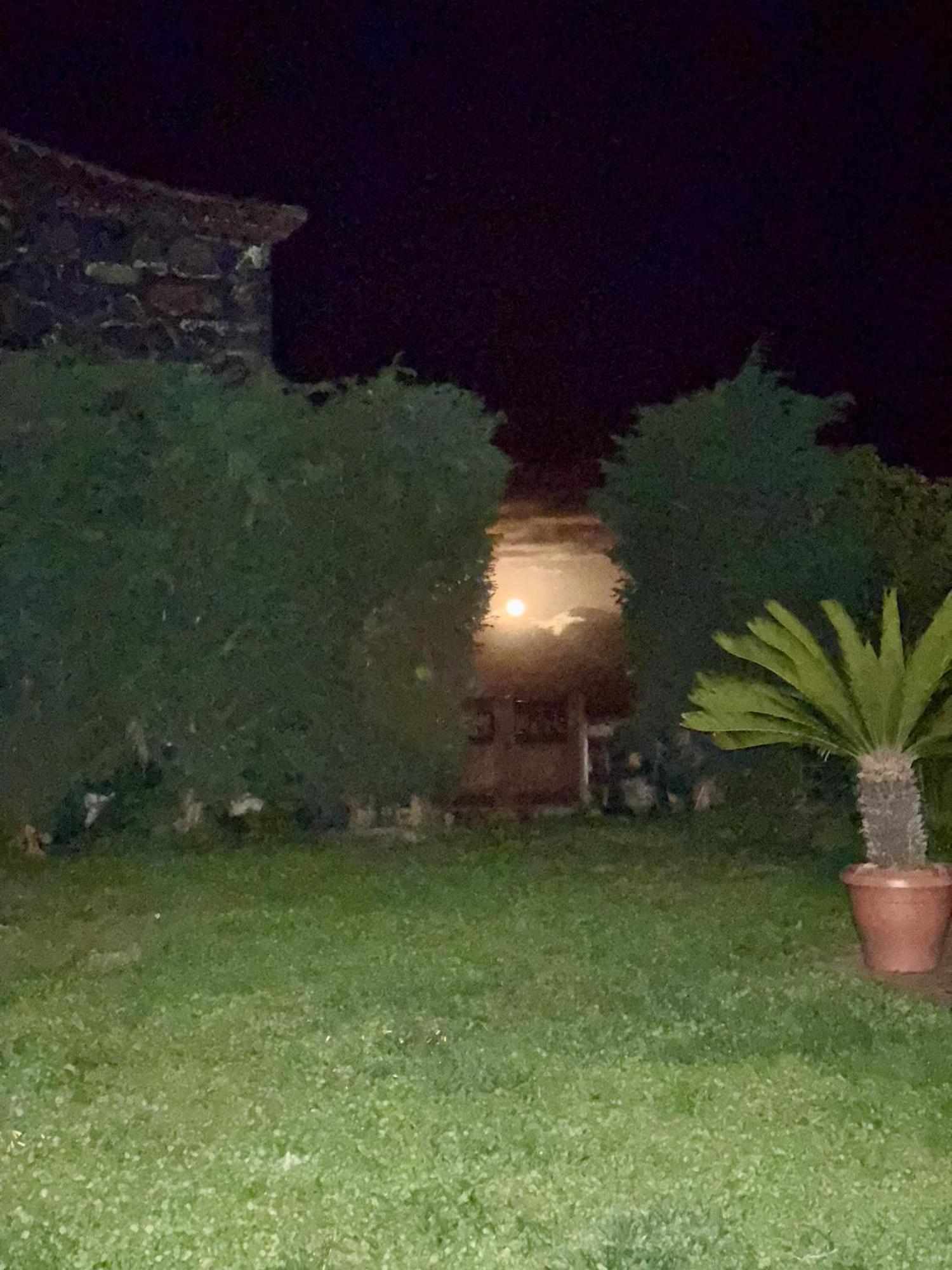Casa Rural Quinta Los Naranjos Tigalate Εξωτερικό φωτογραφία