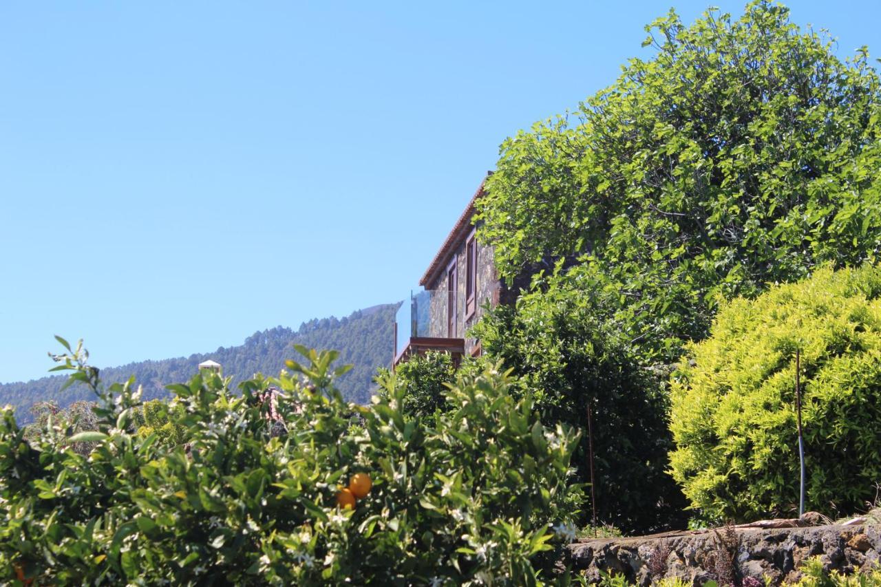 Casa Rural Quinta Los Naranjos Tigalate Εξωτερικό φωτογραφία